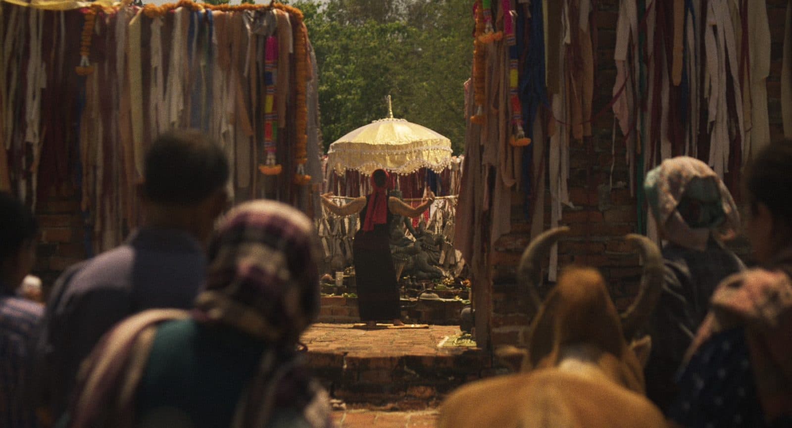 TAME — still 3